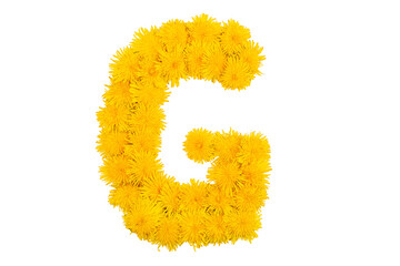 The English alphabet of dandelion flowers. Letter G