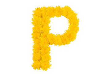 The English alphabet of dandelion flowers. Letter P