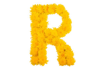 The English alphabet of dandelion flowers. Letter R