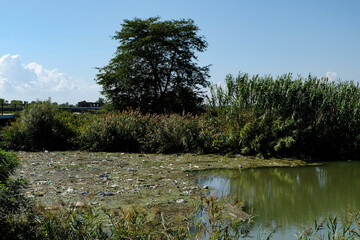 Müll auf einem Fluss in Italien