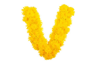 The English alphabet of dandelion flowers. Letter V