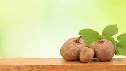 Wood floor on pueraria mirifica isolated on nature background.