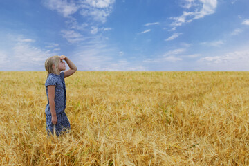 Naklejka na ściany i meble Cute child girl on golden wheat field against blue sky