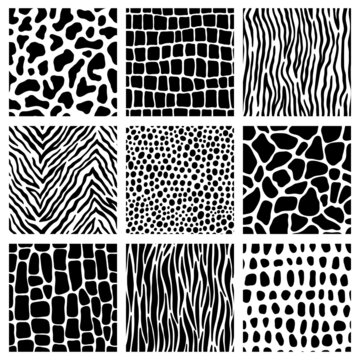 Animal pattern set. Collection of seamless pattern with animal skin print. Giraffe, Zebra, Tiger, Snake, Reptile, Leopard. Vector black and white animal textures.