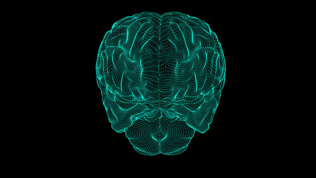 Wireframe brain 3D