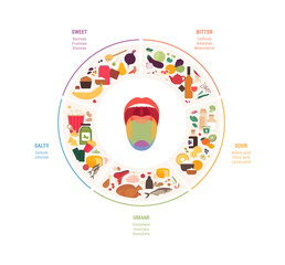 Human five taste infographic. Vector flat modern illustration. Tongue zone map. Sweet, umami, sour, salty, bitter product icon set isolated on white background. Circle pie chart. - obrazy, fototapety, plakaty