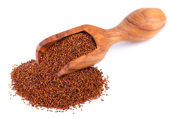 Canihua grains isolated on white background. Pile of qaniwa in olive scoop. Dry grains of chenopodium pallidicaule.