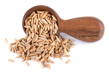 Rye grains isolated on white background. Pile of rye malt seeds in wooden spoon. Dry grains of winter rye.