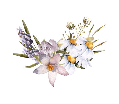 Hand-drawn watercolor floral arrangement with wildflowers: chamomile, clover, purple, pink flowers. Summer bouquet for greeting cards design, wedding invitations, decor isolated on white background