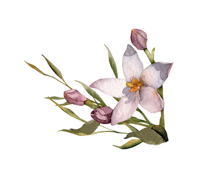 Hand-drawn watercolor pink floral arrangement with centaury buds wildflower. Summer flower bouquet for greeting cards design, wedding invitations, decor isolated on white background