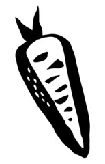 Carrot vegetable hand painted with ink brush