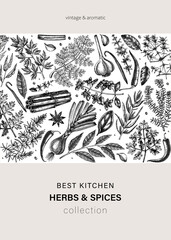 Hand-drawn herbs and spices vector card design. Hand-sketched food illustration. Aromatic plant drawings. Kitchen herbs and spice frame template in sketched style for invitation, menu, banners