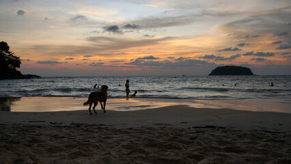Orange sunset with a view of the sea and people. Someone is swimming, someone is walking on the beach. Even a dog walks on the sand. The sun goes below the horizon, clouds in the sky. Island and ocean
