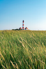 Fototapeta na wymiar Westerheversand Lighthouse and Salzwiesen (salt marsh) in summer, Westerhever, Nordfriesland, Schleswig-Holstein, Germany