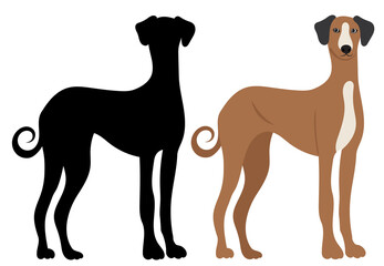 dog black silhouette on white background, isolated