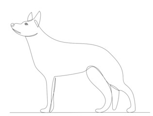 dog drawing in one continuous line, sketch, isolated, vector