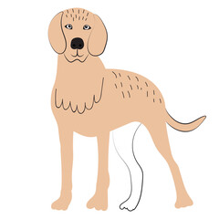 dog doodle, sketch, outline isolated, vector