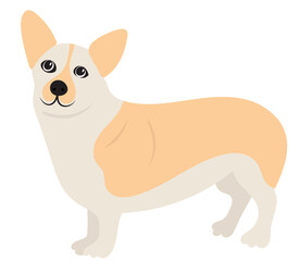 small dog in flat design isolated, vector