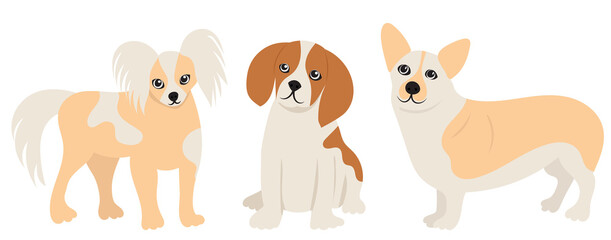 small dog in flat design isolated