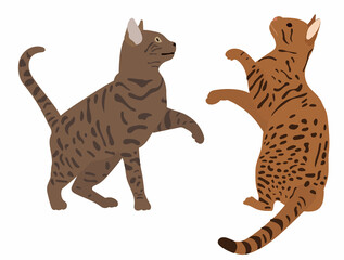 Fototapeta na wymiar cats in flat design isolated, vector