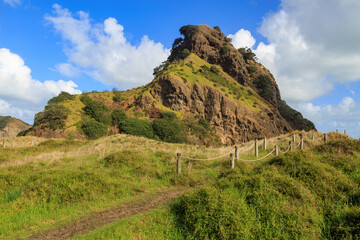 Lion Rock, a natural landmark on Piha Beach, New Zealand