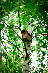 Birdhouse nailed to a tree, caring for wild birds