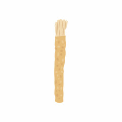 Siwak or Miswak. Islamic traditional toothbrush vector illustration