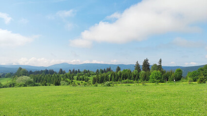 Mountain landscape, green meadow and forest 