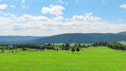 Mountain landscape, green meadow and forest 