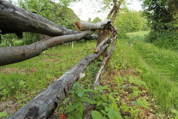 Rustic log fence along the road. Green grass. Rural atmosphere, vintage shot. Old fence close up. Selective focus.