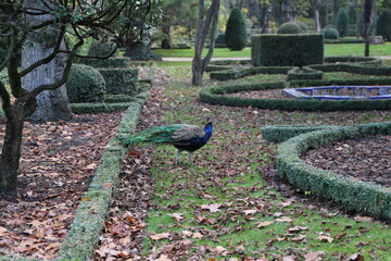 Parque 