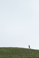 Naklejka na ściany i meble lone explorer adventurer climbs a hill in solitude looking for mushrooms
