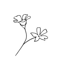 the painted flowers. Vector. Isolated on a white background.