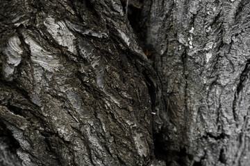texture