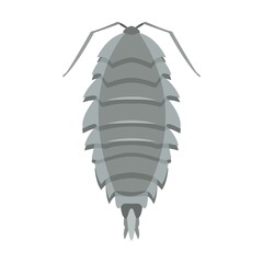 Gray woodlice. Pest control workers and insects flat vector illustration. Poison and equipment for pest infestation prevention, insects isolated
