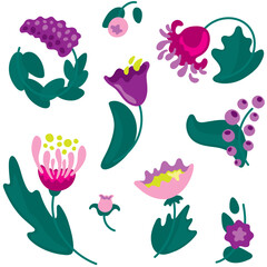 set of spring pink and purple flowers