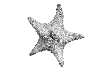 black and white drawing of a starfish on a white