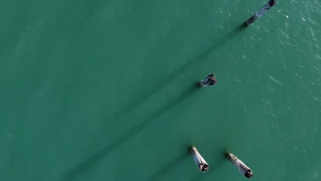 Wooden stake in pier at Paradisiaca beach in southern Bahia, Brazil