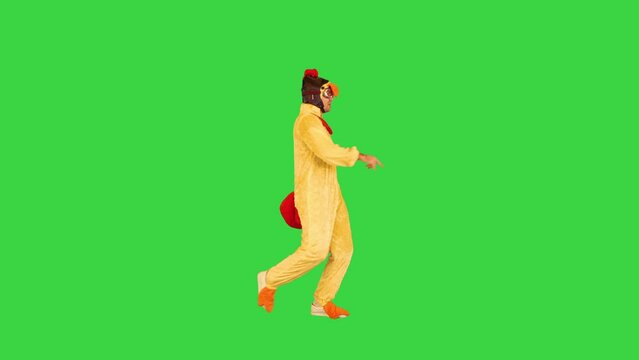Caucasian guy in chicken costume performs fiery dance on a Green Screen, Chroma Key.