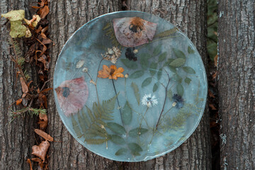 eco craft Plate from epoxy resin decorated by herbs