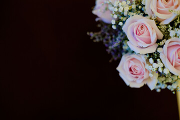 beautiful flower background, colorful nature
