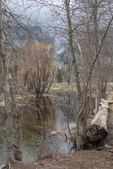  Yosemite National Park, located in western Sierra Nevada mountains, northern California, USA