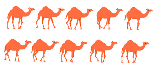 Camel Animation. Sequences for Motion Design. - obrazy, fototapety, plakaty