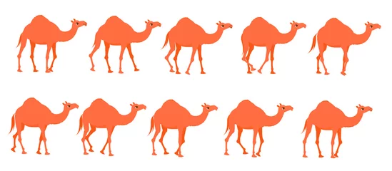 Tuinposter Camel Animation. Sequences for Motion Design. © Anait
