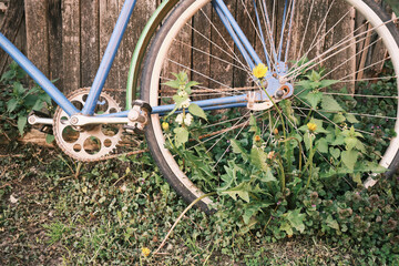 Vintage bicycle in front of old rustic house, covering with the plants and grass. 