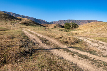path to the mountain