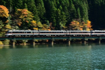 Fototapeta premium 秋の高山本線 飛騨金山～焼石を走るキハ85系特急ワイドビューひだ