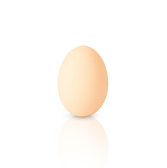 light oval chicken egg isolated on white background