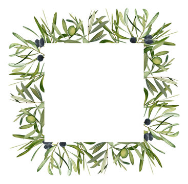 Watercolor hand drawn frame with olive leaf and olives.