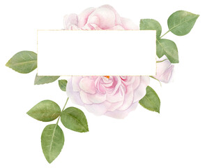 Hand drawn watercolor frame with pink rose flowers